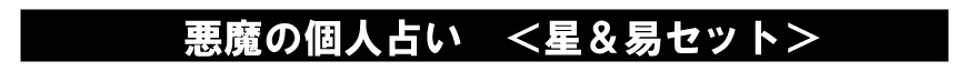 悪魔の個人占いS　星＆易セット